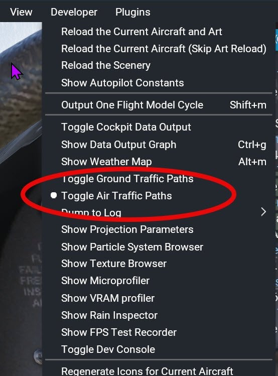 Enlarge image Developer menu air traffic path.jpg