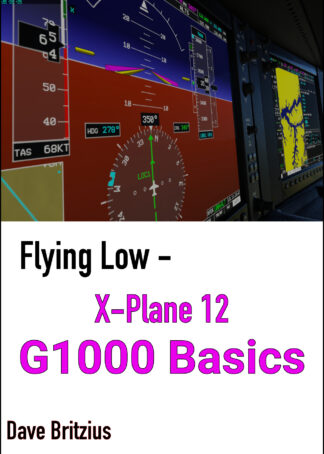 X-Plane 12 - G1000 Basics